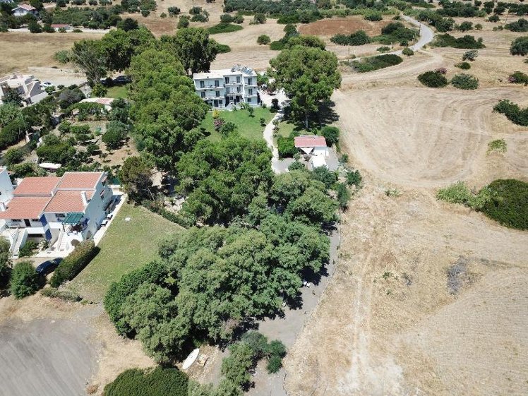 General view