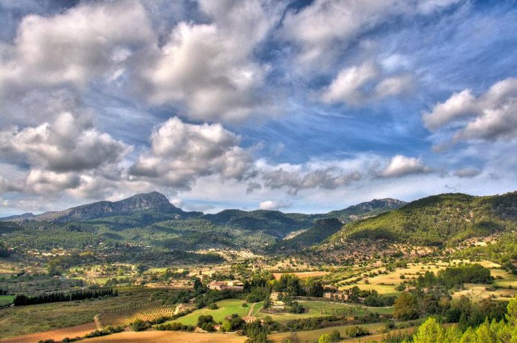 General view
