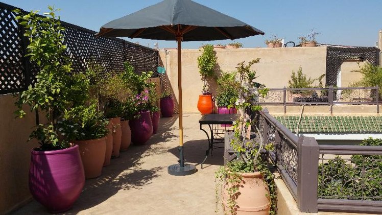 Terrace