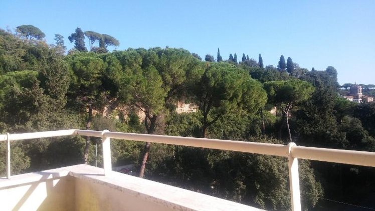 General view