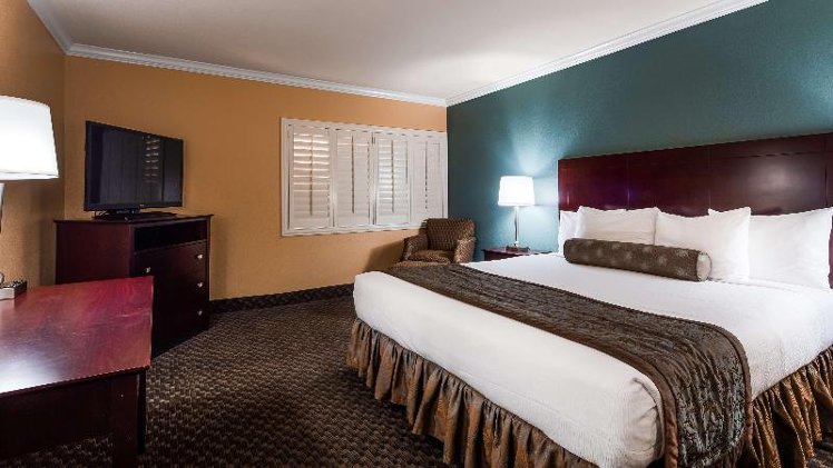 SUITE NON SMOKING Room