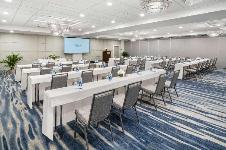 Conferences