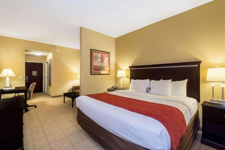 SUITE KING BED NON SMOKING Room