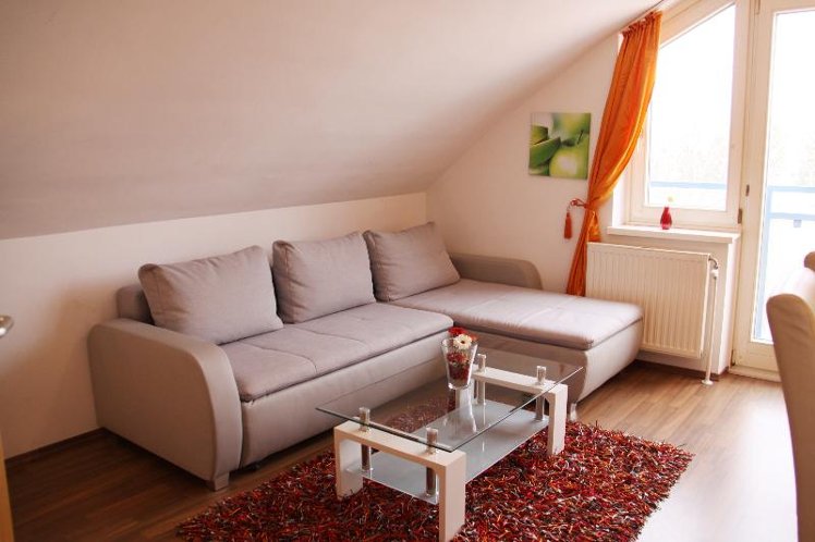 APARTMENT COMFORT Room
