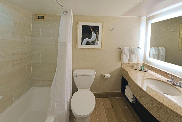 JUNIOR SUITE KING SIZE BED Room