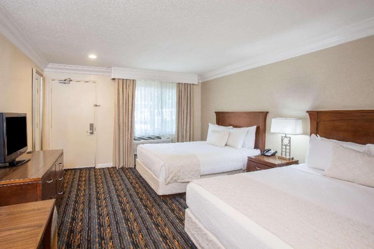Room TWO QUEEN BEDS Room