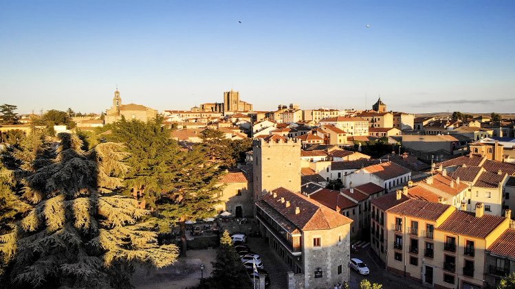 Slide image