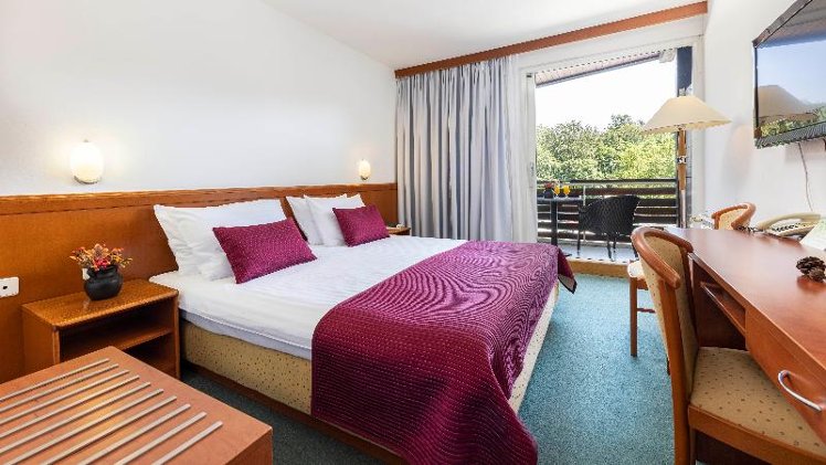 DOUBLE STANDARD Room