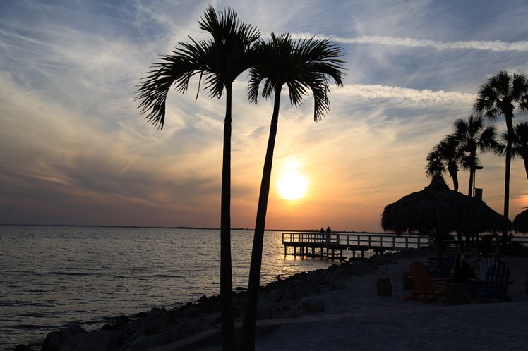 Sailport Resort Waterfront Suites on Tampa Bay
