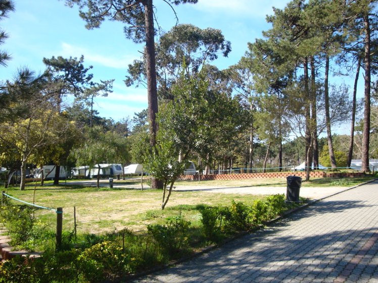 General view