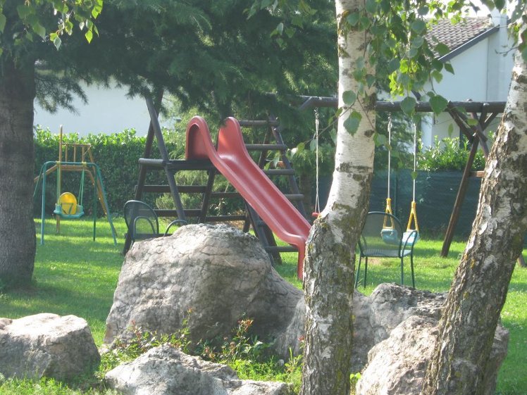 Slide image