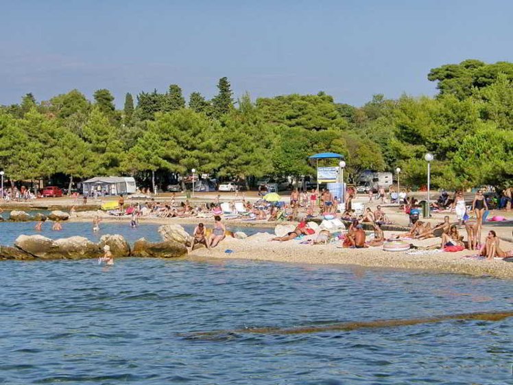 Holiday image