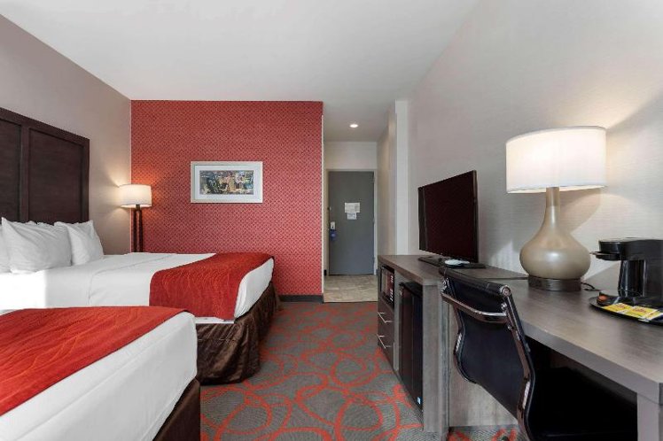 DOUBLE TWO QUEEN BEDS Room