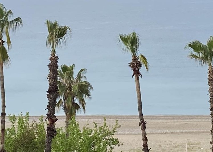 Holiday image