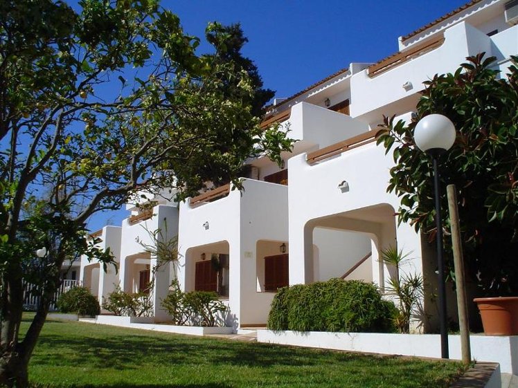 Holiday image