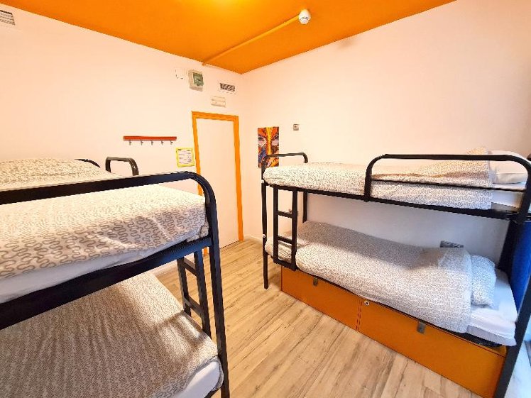 Bed in dormitory FEMALE ROOM Room