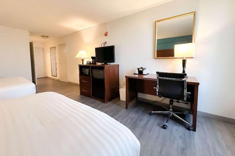 DOUBLE TWO QUEEN BEDS Room