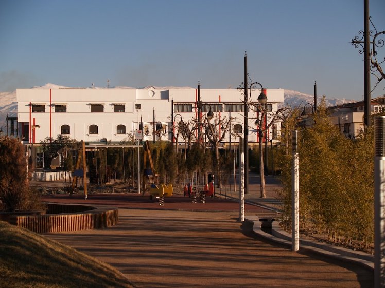 Slide image