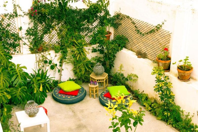Terrace