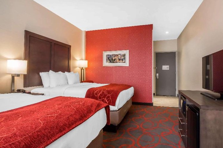 DOUBLE TWO QUEEN BEDS Room