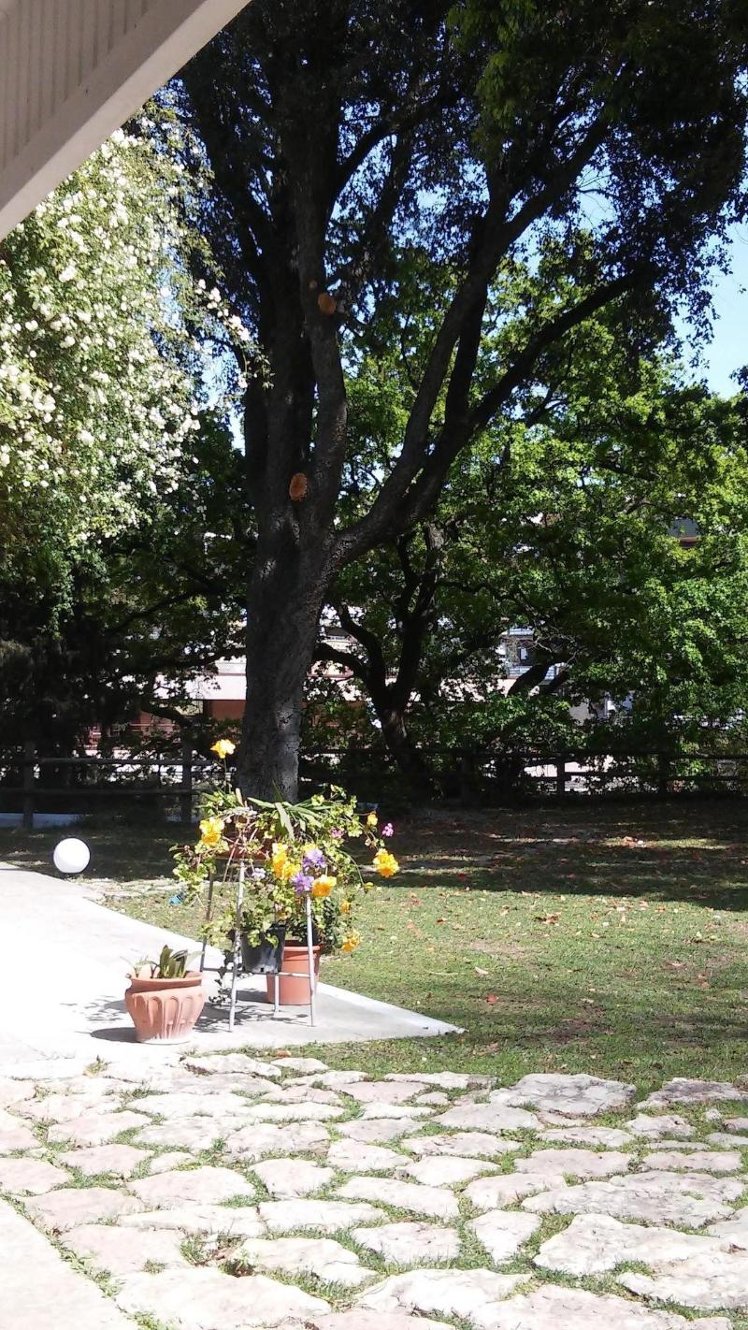 General view