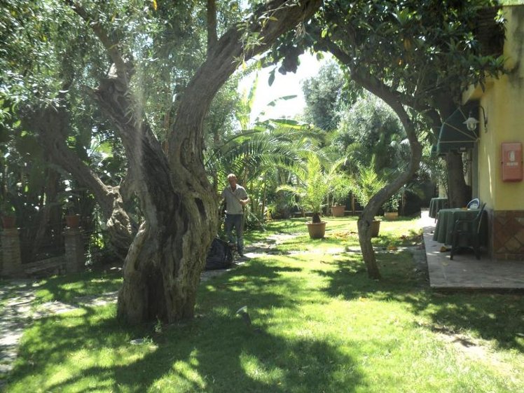 General view