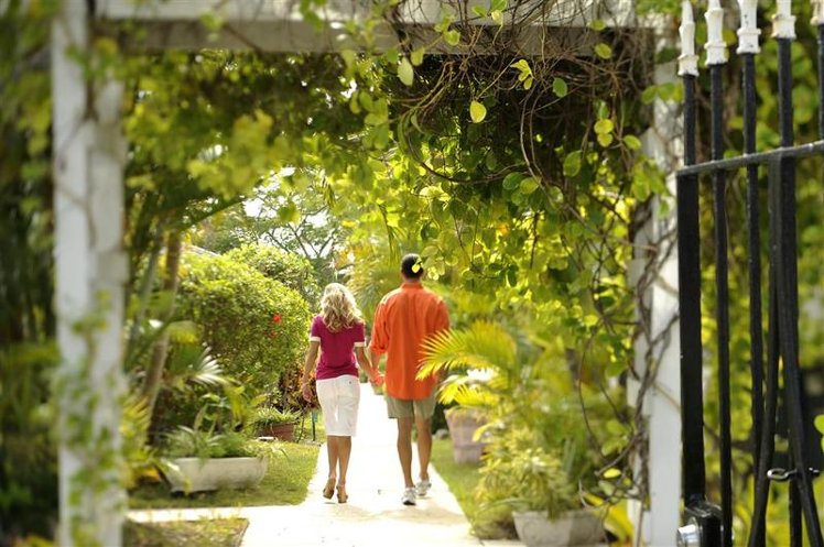 Holiday image