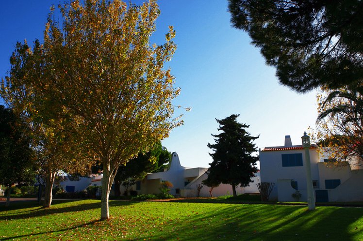General view