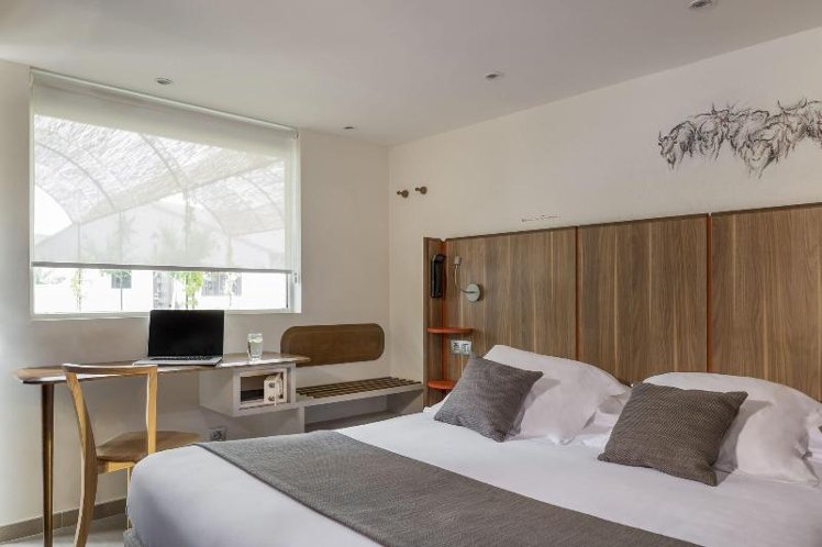 DOUBLE SUPERIOR QUEEN BED Room