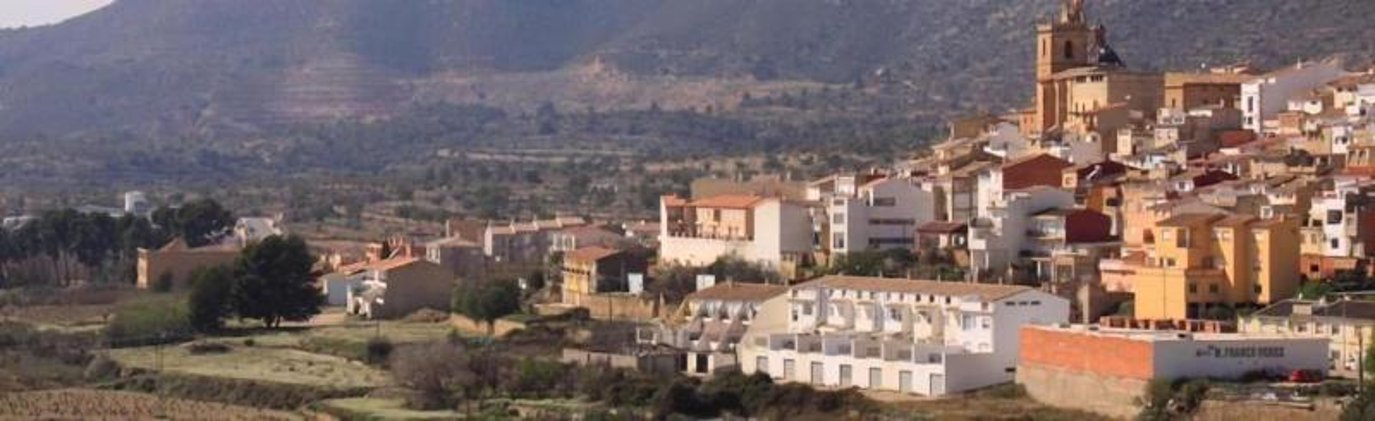 General view