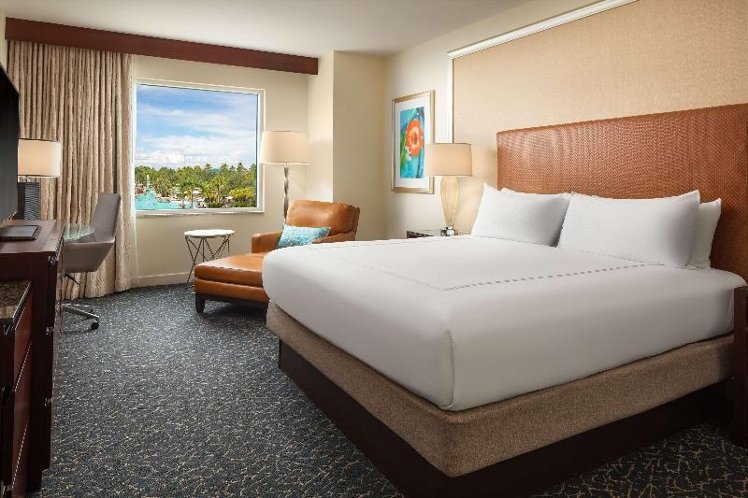 DOUBLE Accessible Room