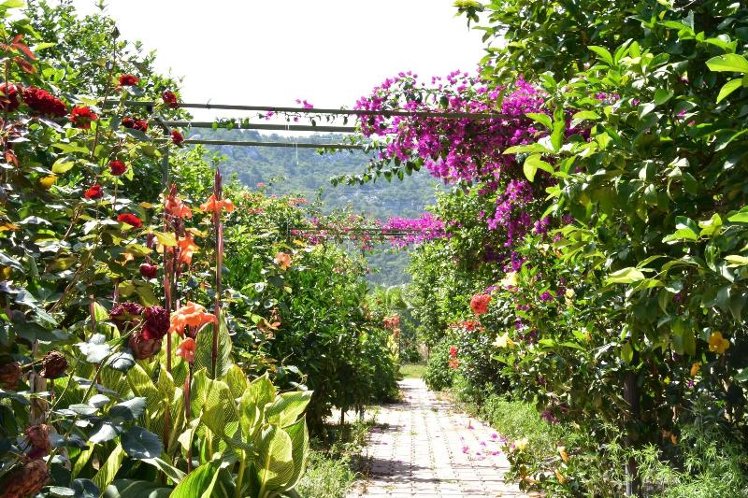 Lemon Garden Lodge