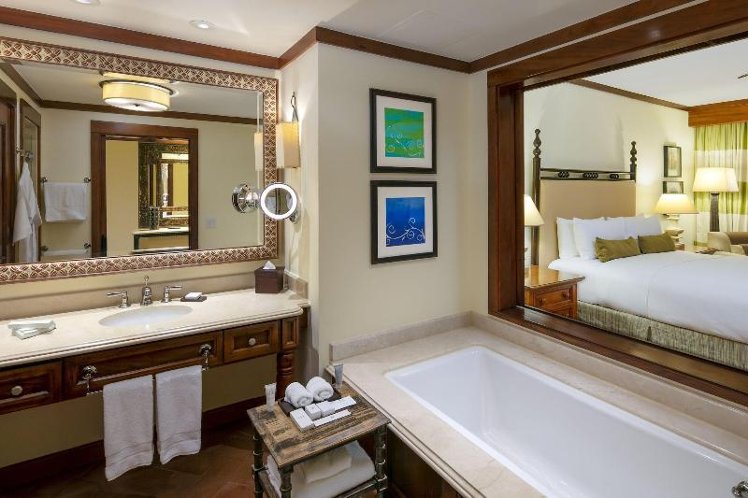 DOUBLE DELUXE POOL VIEW Room