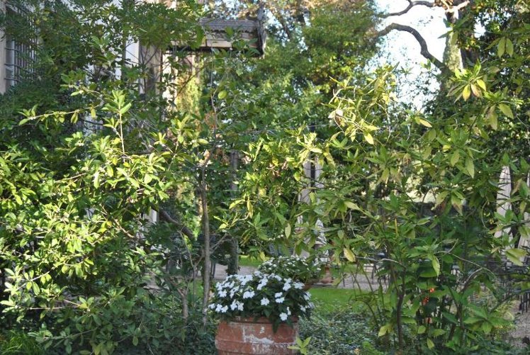 General view