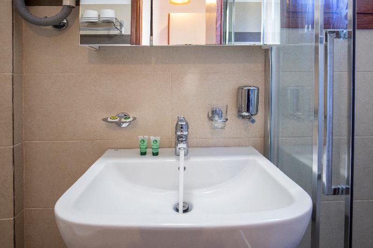 Double or Twin MOUNTAIN VIEW Room
