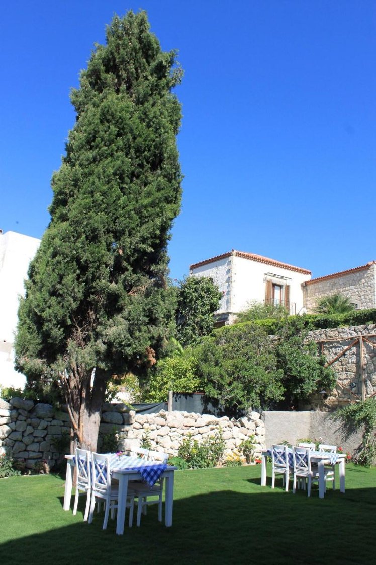 General view