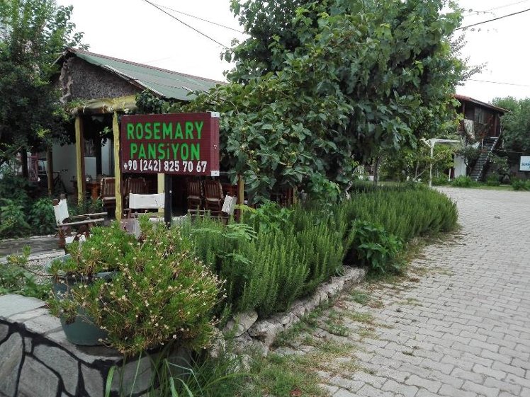 General view