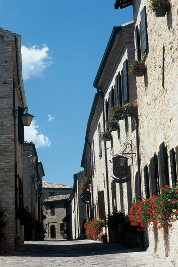 General view