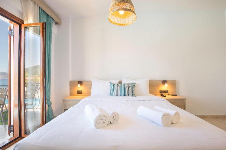 Double or Twin MOUNTAIN VIEW Room