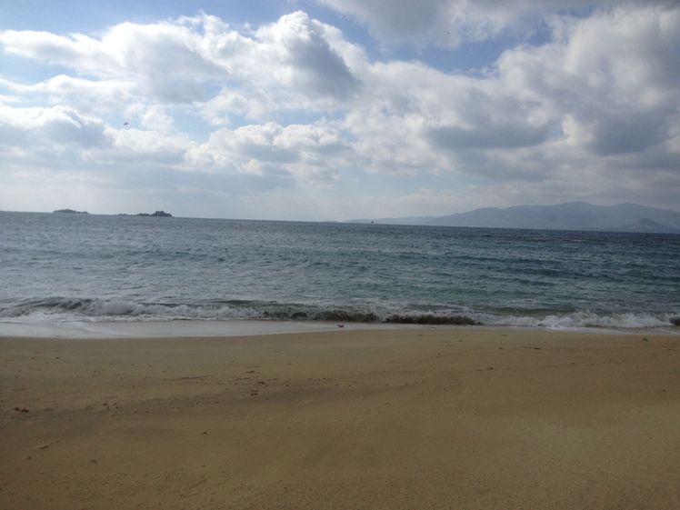 Image8277656