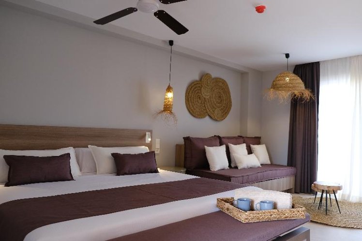 Double or Twin EXECUTIVE Room