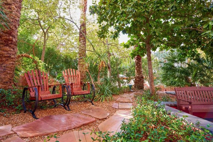 Terrace