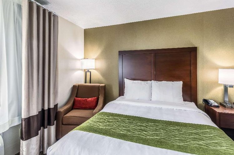 DOUBLE TWO QUEEN BEDS NON SMOKING Room