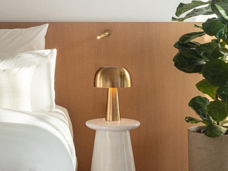 Double or Twin DELUXE GARDEN VIEW Room