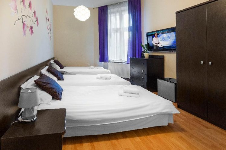 TRIPLE STANDARD Room