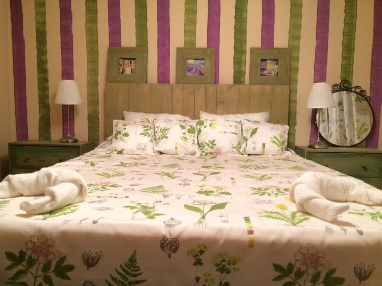 DOUBLE ECONOMY Room