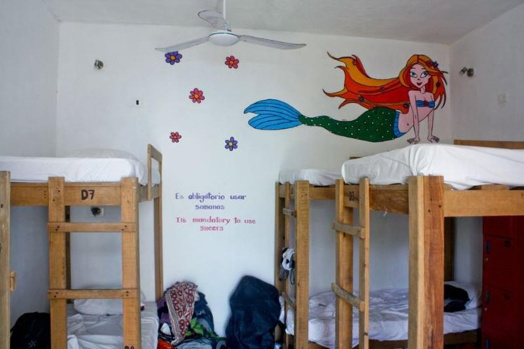 Bed in dormitory FEMALE ROOM Room