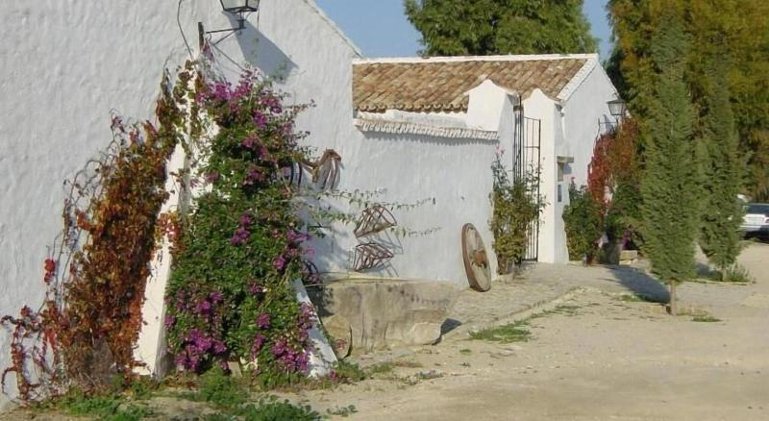 General view
