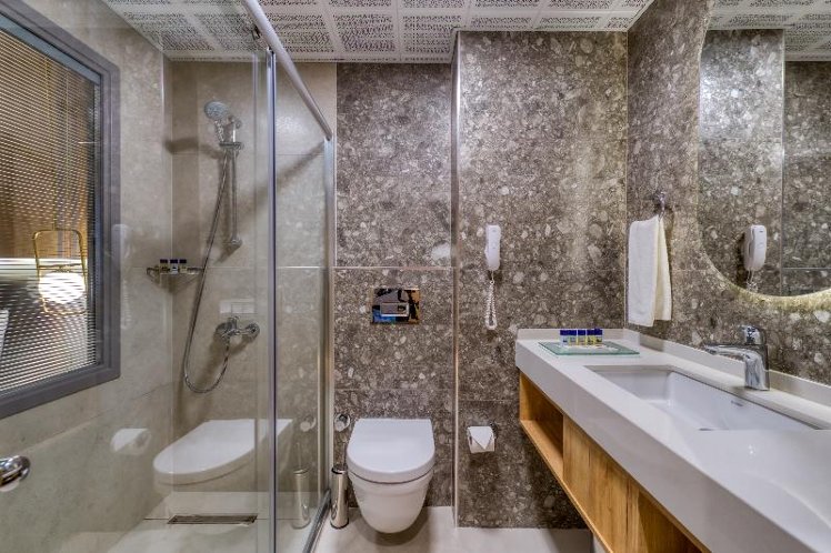 DOUBLE SINGLE USE STANDARD Room