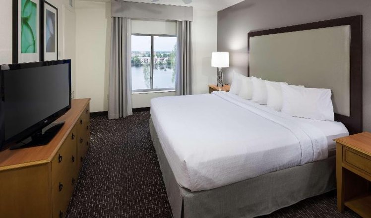 SUITE LAGOON VIEW Room